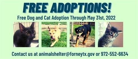 Forney animal shelter - The Forney Animal Shelter is looking for volunteers. Volunteers must be 18 years of age or older. Ages 16 and up must be accompanied by an adult. All applications require a color …